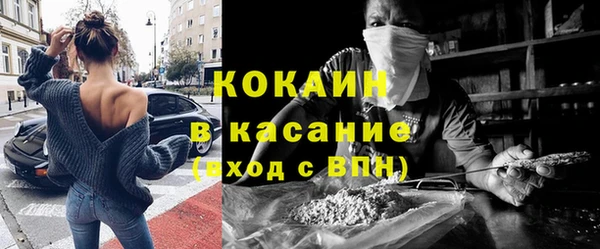 стафф Аркадак