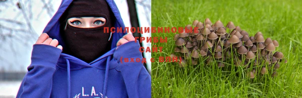 a pvp Алзамай