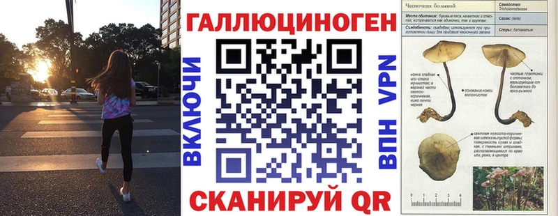закладки  Снежинск  нарко площадка состав  Псилоцибиновые грибы мицелий 